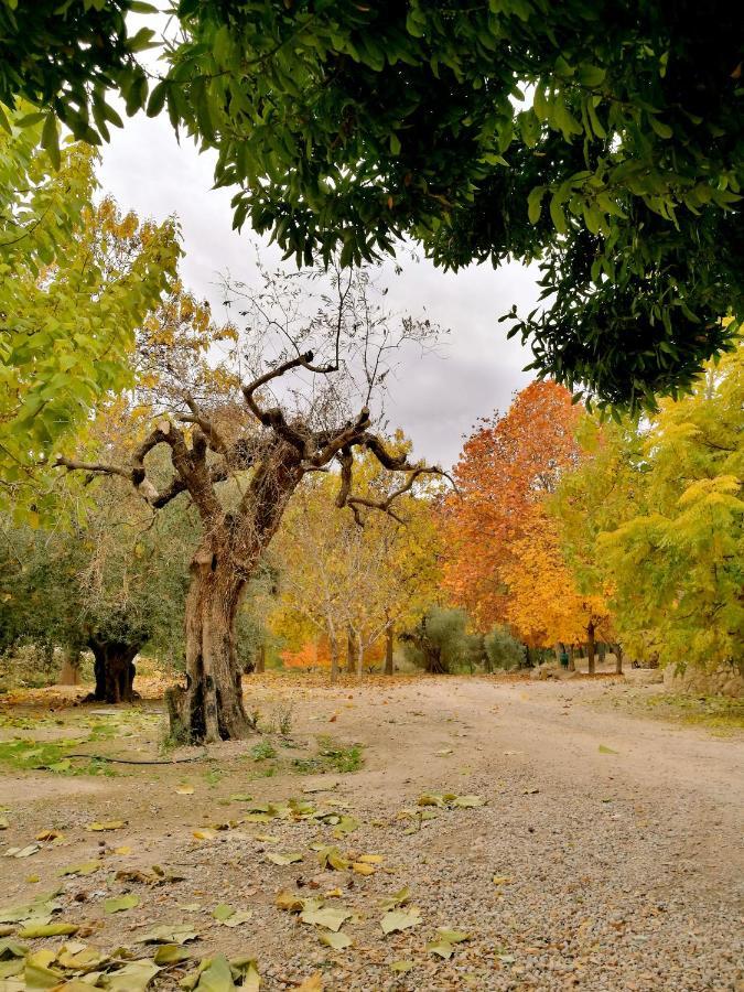 Гостьовий будинок Finca La Celada Мораталья Екстер'єр фото