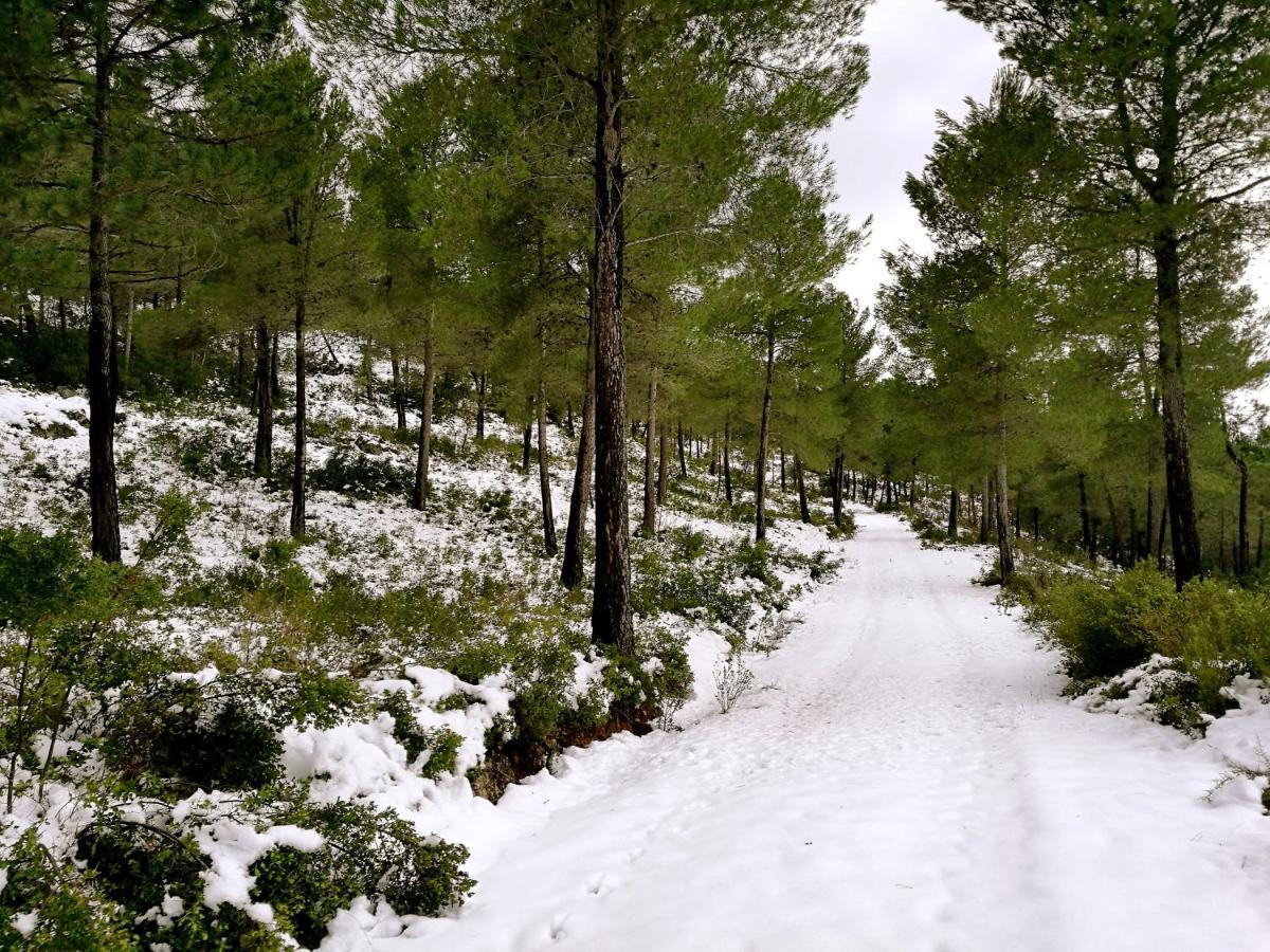 Гостьовий будинок Finca La Celada Мораталья Екстер'єр фото