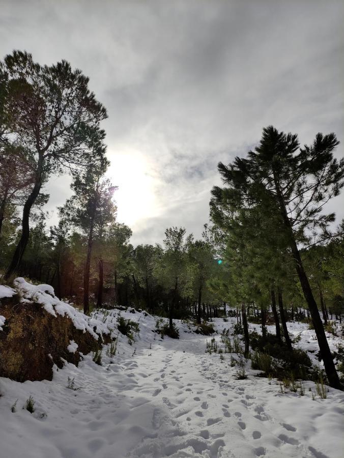 Гостьовий будинок Finca La Celada Мораталья Екстер'єр фото