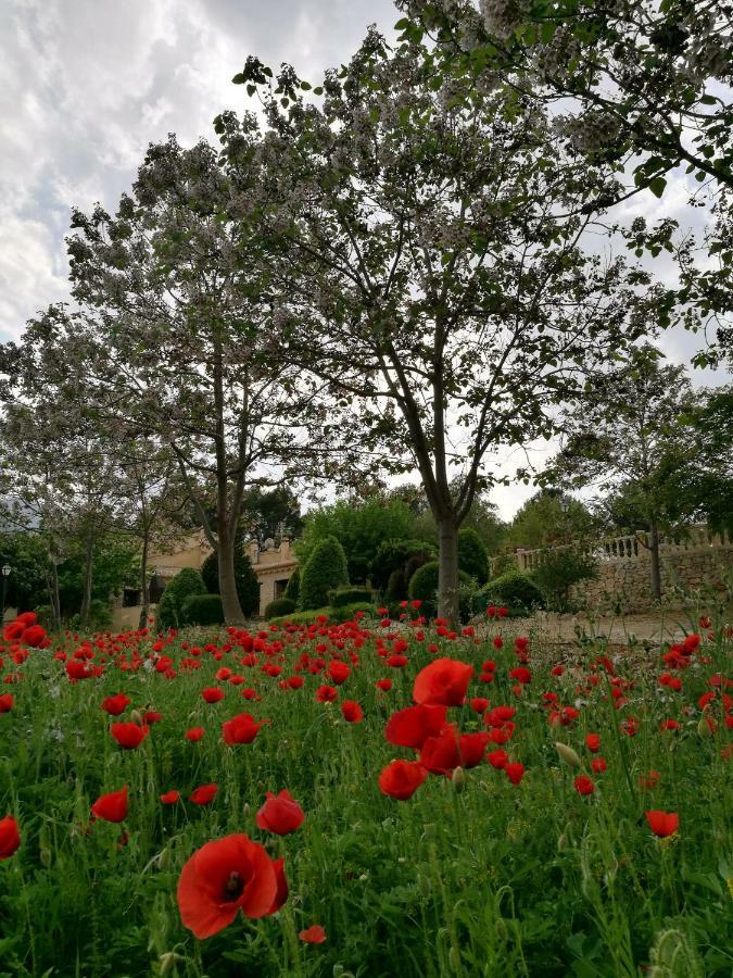 Гостьовий будинок Finca La Celada Мораталья Екстер'єр фото